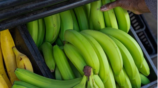 Entenda de qual maneira a banana verde pode beneficiar a sua saúde. - MagicBones / iStock